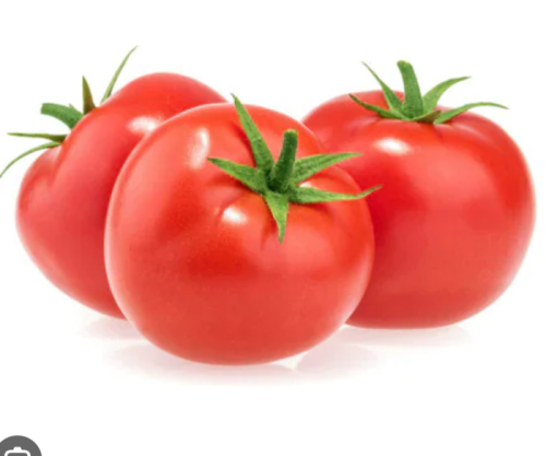 بندورة