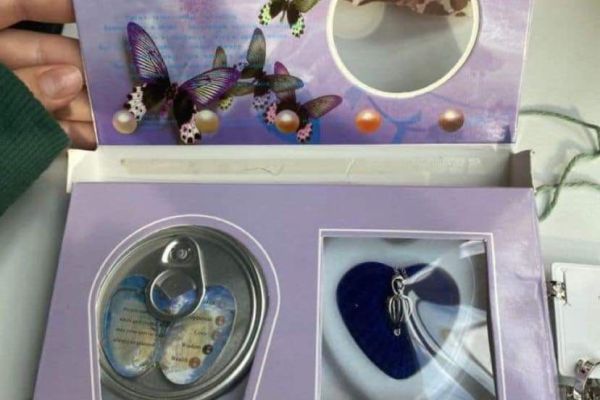 Oysters (present)